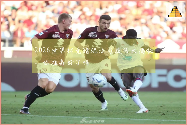 2026世界杯竞猜玩法与技巧大揭秘，你准备好了吗