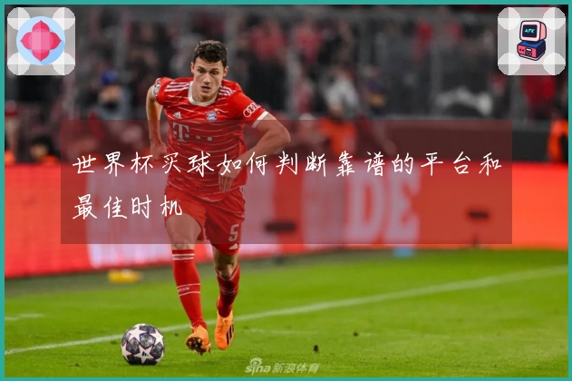 世界杯买球如何判断靠谱的平台和最佳时机