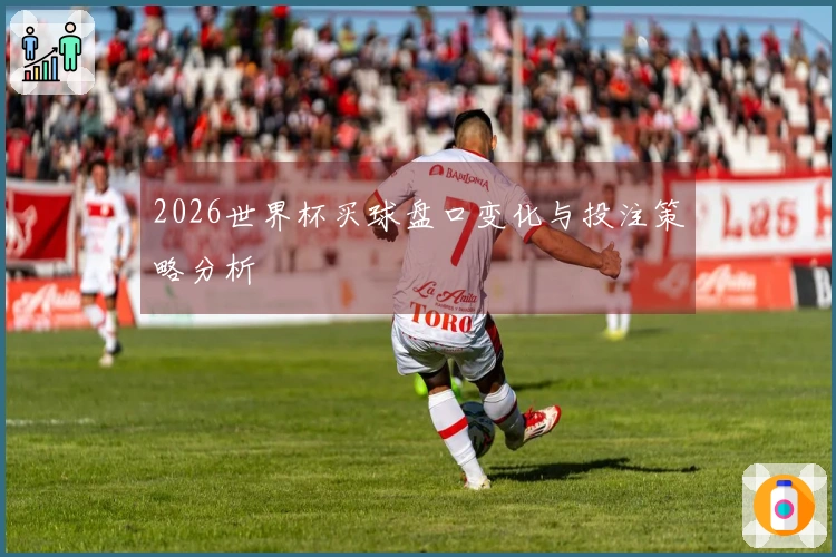 2026世界杯买球盘口变化与投注策略分析