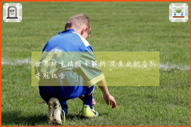 世界杯竞猜赔率解析 深度分析各队夺冠机会