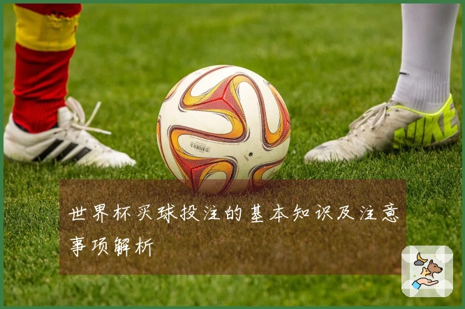 世界杯买球投注的基本知识及注意事项解析