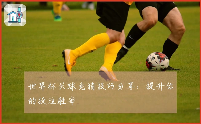世界杯买球竞猜技巧分享，提升你的投注胜率