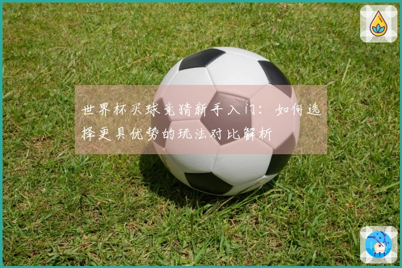 世界杯买球竞猜新手入门：如何选择更具优势的玩法对比解析