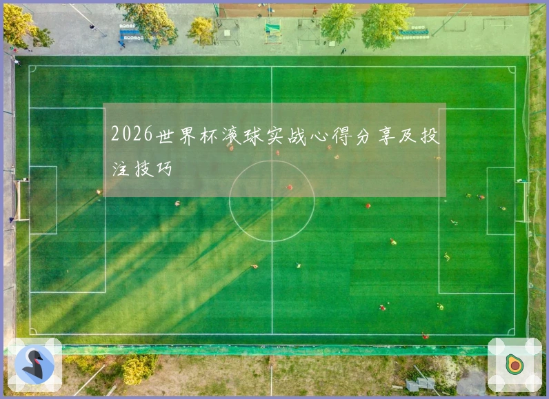 2026世界杯滚球实战心得分享及投注技巧