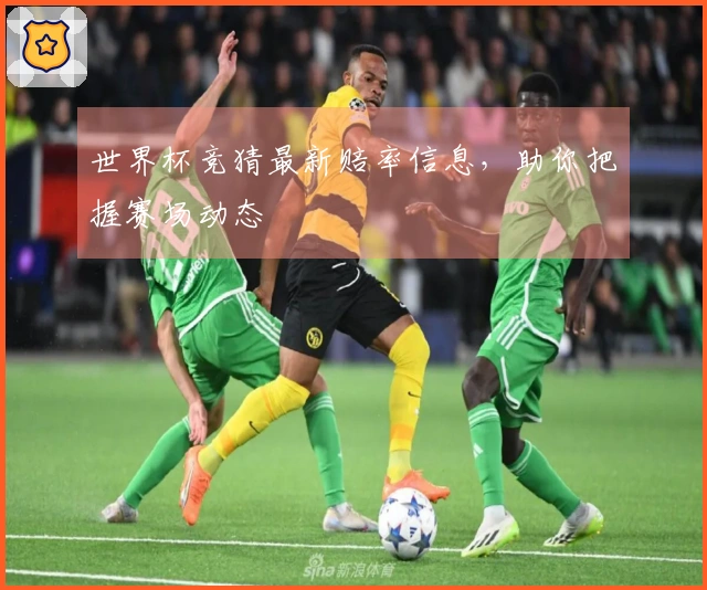 世界杯竞猜最新赔率信息，助你把握赛场动态