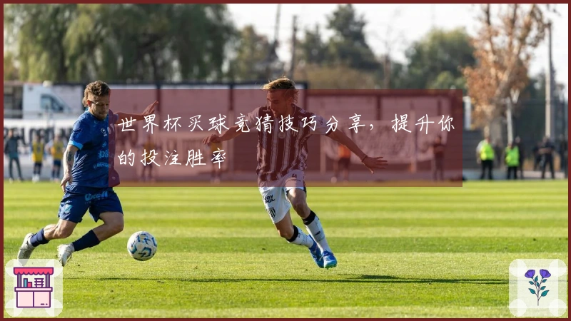世界杯买球竞猜技巧分享，提升你的投注胜率