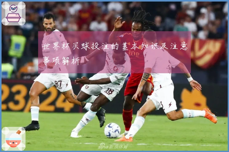 世界杯买球投注的基本知识及注意事项解析